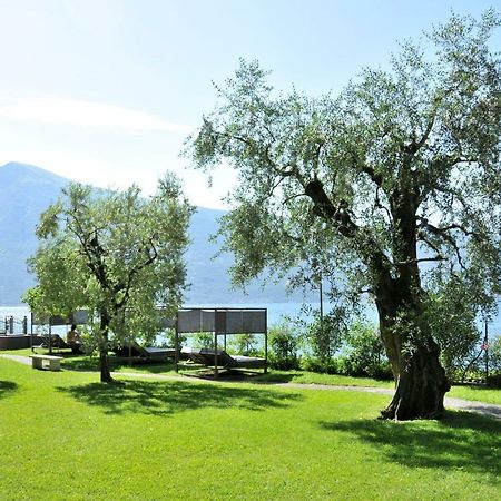 Torre Degli Ulivi Bed & Breakfast Тиняле Екстериор снимка